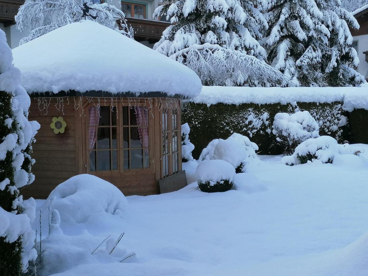 Apartament Appart Pfeifer Neustift im Stubaital Zewnętrze zdjęcie