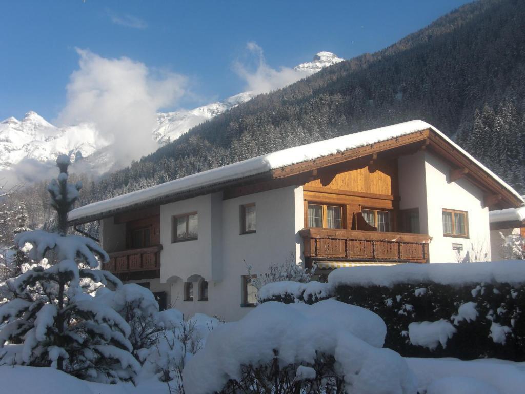 Apartament Appart Pfeifer Neustift im Stubaital Zewnętrze zdjęcie